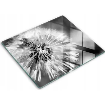 Obraz Krájecí deska Wallfluent sklo 1 ks