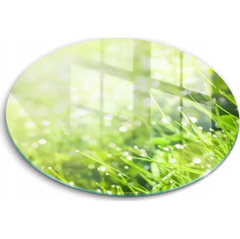 Kuchyňské prkénko Krájecí deska Wallfluent sklo 1 ks