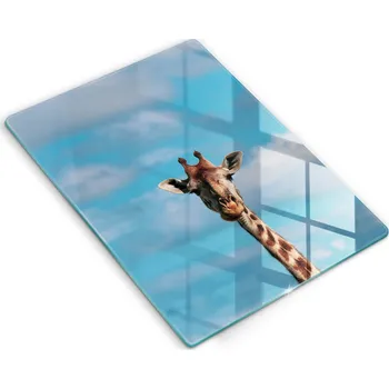 Kuchyňské prkénko Krájecí deska Wallfluent sklo 1 ks