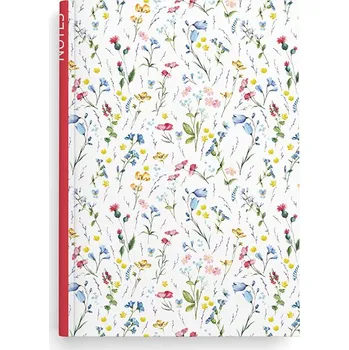 Baloušek Tisk Kniha záznamní A5 - linka / 100 l / louka 563011