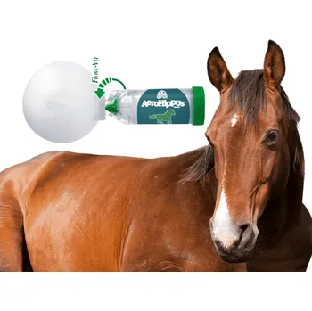 Chov hospodářského zvířete AeroHippus® komora pro koně