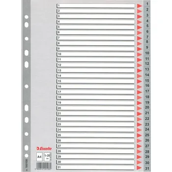 ESSELTE Rozdružovač A4 plastový Esselte - šedý / 1 - 31 30455