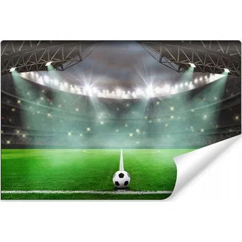 Fototapeta Fototapeta sportovní stadion fotbalový 3D 300x450