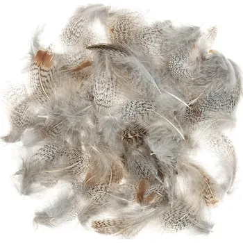 Peří Veniard English Partridge Grey Neck 3g.