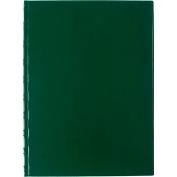 Karton P+P Desky Sporo - kapsy boční / zelená 30048