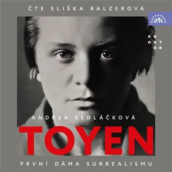 Toyen - Andrea Sedláčková (čte Eliška Balzerová) mp3 ke stažení