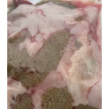 Maso a ryba Boxxi Kapří vnitřnosti 500 g