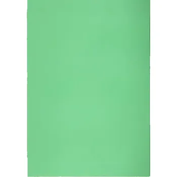 Karton P+P Zakládací obal barevný A4 silný - zelená / 10 ks 30743