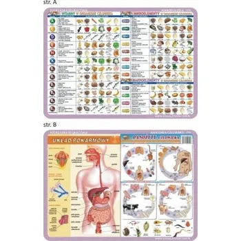 Obraz Podložka na stůl 40 x 30 cm, vícebarevná