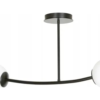 Emibig HALLDOR 2 BLACK Stropní Stropní Svítidlo / stropní svítidlo Ocel lakovaná, sklo Černá