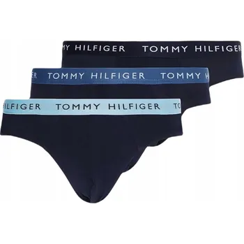 Dámské oblečení Balení 3 kalhotek TOMMY HILFIGER UM0UM02389 S