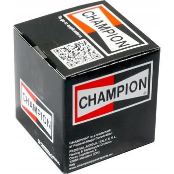 Vzduchový filtr Vzduchový filtr Champion U552/606