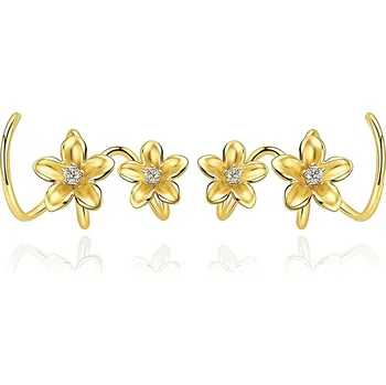 Náušnice Dámské stříbrné náušnice BOGUSIA Ag 925