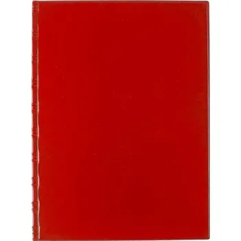 Karton P+P Desky Sporo - kapsy spodní / červená 30044