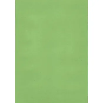 Karton ESSELTE Barevný karton - A4 / 180 g / zelená 66955