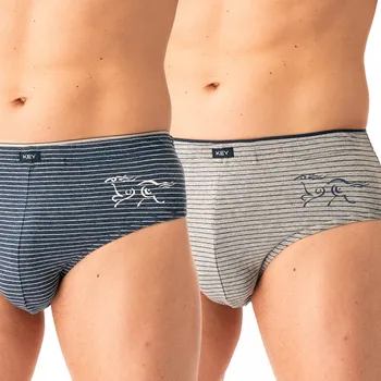 Pánské spodní prádlo Pánské slipy KEY MPP-354 B25 XXL (44) vícebarevné