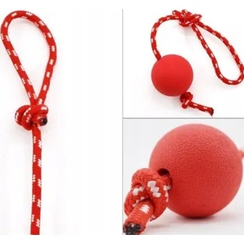 Hračka pro psa Míč na provázku hračka pro trénink