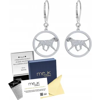 Náušnice Stříbrné Náušnice s psem Border teriérem GRAVÍROVÁNÍ DÁREK