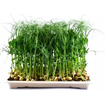podložka LNĚNÁ PODLOŽKA pro klíčení mikrozeleniny a microgreens