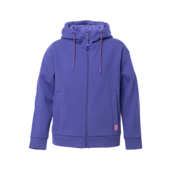 Chlapecká mikina Dětská Mikina BEJO BALEINE KDG M000277769 – Fialová 116