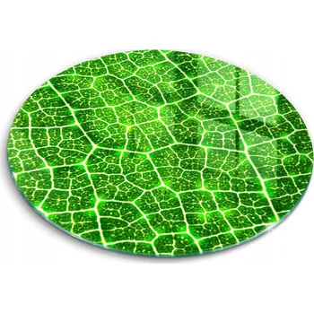 Kuchyňské prkénko Krájecí deska Wallfluent sklo 1 ks