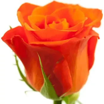 umělá květina Oranžová růže ALMANZA 70cm