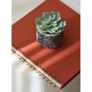 umělá květina Sinsay - Dekorativní rostlina v květináči - černá - 324IN-99X - 324IN-99X-ONE