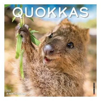 Kalendář Quokkas 2026 12 X 12 Wall Calendar (Kalendář)