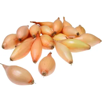 Semeno Cibule sazečka Birnformige (světle hnědá, hruškovitá) 500 g