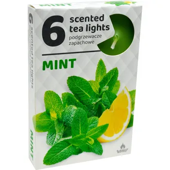 Svíčka Parafínové čajové svíčky Mint Admit 6 ks