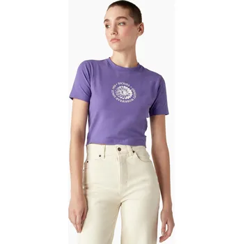 Dámské tričko Dickies GARDEN PLAIN TEE SS W F93 Velikost: S