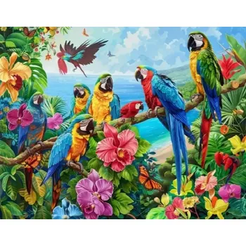 Diamantové malování Diamantové malování - Papoušci (50x70)