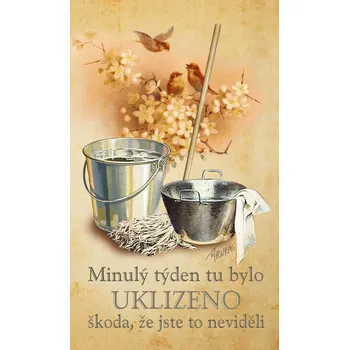 Ručník Malý ručník 30 x 50 cm - Bylo tu uklizeno