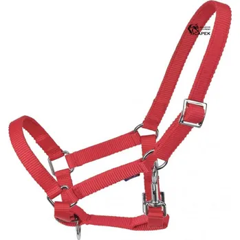 Hříběcí ohlávka Busse -YOUNG- - Červená