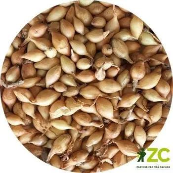 Cibulovina Cibule sazečka Všetana (žlutá) 1 kg