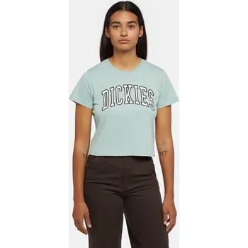 Pánské oblečení Dickies AITKIN TEE J59 Velikost: XS
