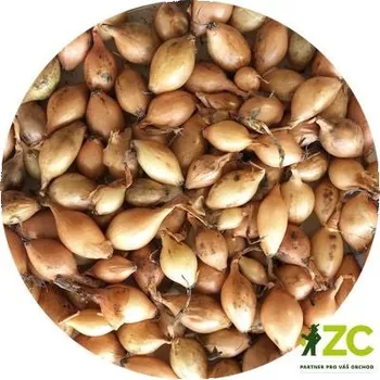 Cibule sazečka Sturon (žlutá) 1 kg