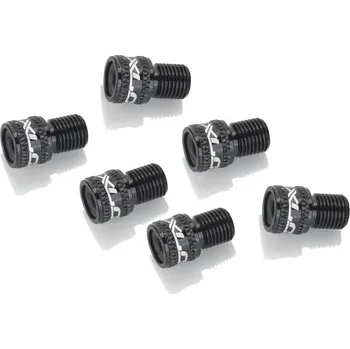 pumpička adaptér ventilku XLC AV na DV/SV černá 10 ks