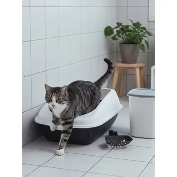 Pánské tenisky Sinsay - Doplňky pro zvíře - černá - 021BW-99X - 021BW-99X-ONE-3