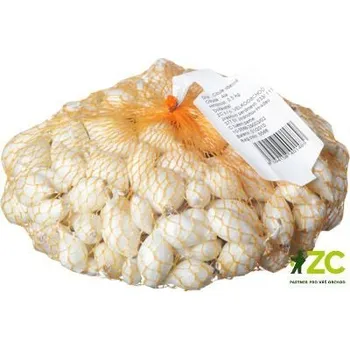 Semeno Cibule sazečka Snowball (bílá) 500 g