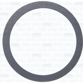 Brzdová hadice TĚSNĚNÍ VÝFUKOVÉHO TRUBKY AJUSA 01459500