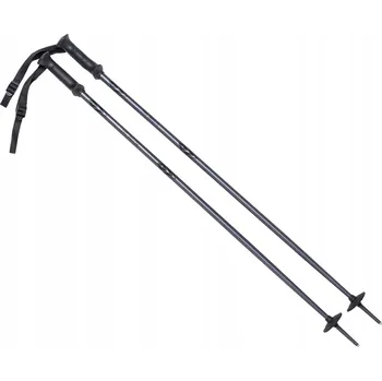 Sjezdové lyžování Lyžařské hole ALPINE SKI II 110