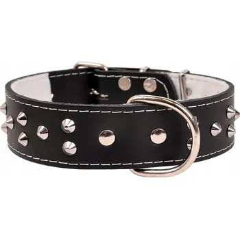 Obojek pro psa Kožený obojek pro psa Dino vel. L