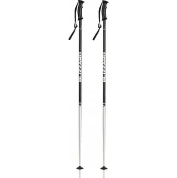 Sjezdová hůlka Lyžařské hole Blizzard Sport Ski Poles 125 cm černé matné/stříbrné