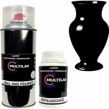 Barva ve spreji Lak ve spreji na vázy RAL 9005 POLOMAT