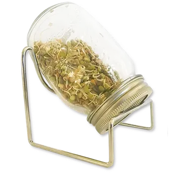 Semeno PepUpLife Sklenice na klíčení 1 ks