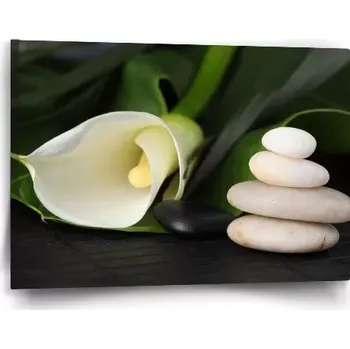 Obraz Sablio Obraz Kala - 60x40 cm