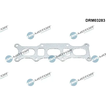 Auto-moto Těsnění, výfukové svody DR.MOTOR DRM03283