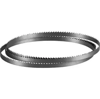 Brusný papír PROMA 63400010 pilový pás na dřevo 8x2560mm 10z pro PP-340