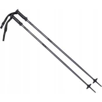 Sjezdové lyžování Lyžařské hole ALPINE SKI II 130